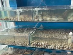 -仙螺岛海鲜自助餐厅(总店)