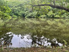 -番禺大夫山森林公园
