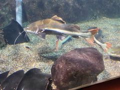 -太平洋海底世界