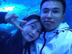 -多彩贵州城极地海洋世界