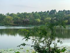 -上海怡沁园度假酒店
