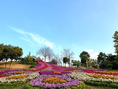 -东莞植物园
