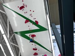 -绿壁虎攀岩基地(Tcar店)