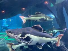 -华夏文旅海洋公园