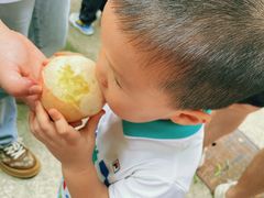 -老袁家蜜桃农场·阳山水蜜桃