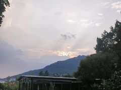 -蘇河湾·新鲁菜·泰山宴(泰山店)