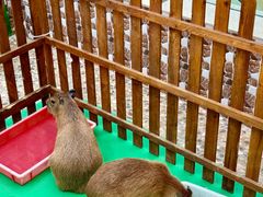 -洋洋广场(南街店)