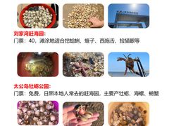 -巧克力渔家.小船海鲜胶东菜(万平口店)