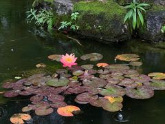-花溪公园