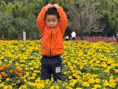 -广州市石门国家森林公园