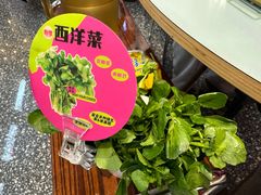 -粉灯牛腩牛杂煲·鸡煲(双井店)