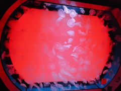 -沈阳海洋探索中心