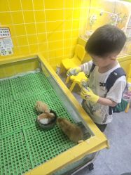 点击看大图 -神奇动物撸宠馆·羊驼·小浣熊·异宠(豫园店)
