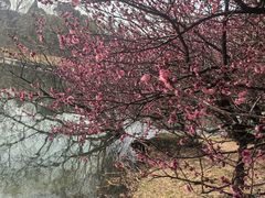 -白塘生态植物园
