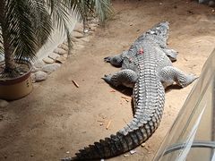 -西霞口神雕山野生动物世界
