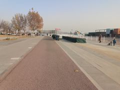 -武清南湖绿博园