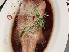 石斑鱼-神洲四海大酒楼(王府井澳门中心店)
