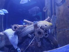 -成都浩海立方海洋公园