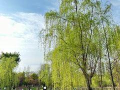 -沐仙湖湿地公园