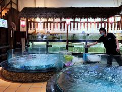 水产区-渔乐里(智荟城店)