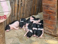 -HERRE·FARM 赫尔露营农场·团建聚会包场