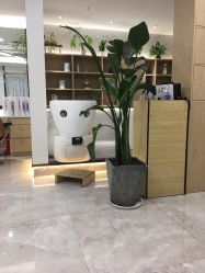 -BM SALON