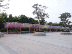 景点-厦门方特梦幻王国