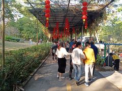 -广东茂名森林公园