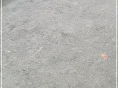 -上海交通大学医学院附属瑞金医院(总院)