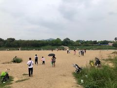 -传说中那条蛋散