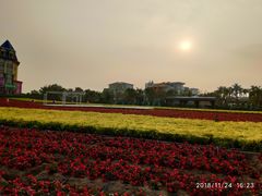 -百万葵园