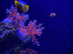 -成都浩海立方海洋公园