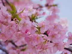 -苏州上方山国家森林公园