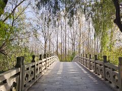 -溱湖国家湿地公园