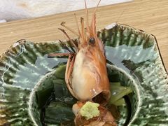 -鮨政· Omakase(港汇恒隆广场店)
