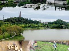 -顺峰山公园