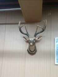 -纯剪男士理发馆·烫染专业店