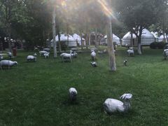 -九十九顶毡房(阜石路店)