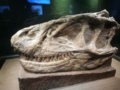 -自贡恐龙博物馆