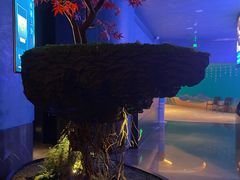 -1718海鲜姿造(苏宁宴请臻选店)