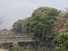 -炉鱼(萧山万象汇店)