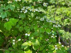 -大连植物园