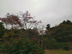 -晓港公园