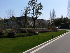 -中共上海市委党校 上海行政学院