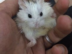 -龙猫仔乐园(惠福东路店)