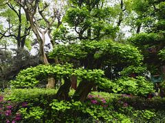 -南山植物园