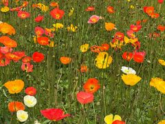 -云南省昆明市正义路步行街(三市街)