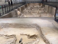 -洛阳周王城天子驾六博物馆