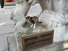 -宝通禅寺