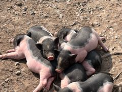 -广州锦绣香江度假别墅